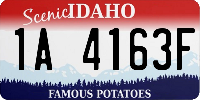 ID license plate 1A4163F