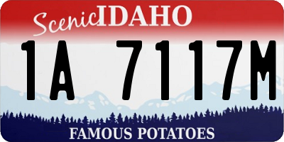 ID license plate 1A7117M