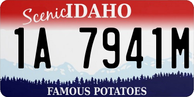 ID license plate 1A7941M