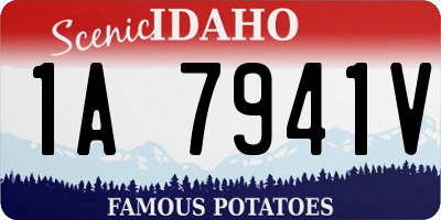 ID license plate 1A7941V