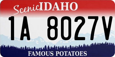 ID license plate 1A8027V