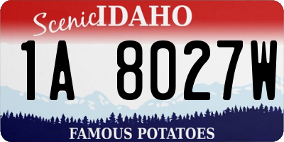 ID license plate 1A8027W