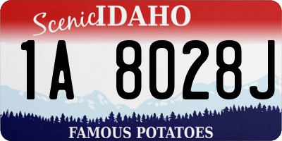 ID license plate 1A8028J