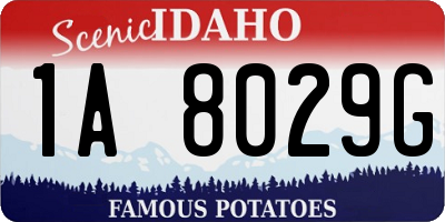 ID license plate 1A8029G