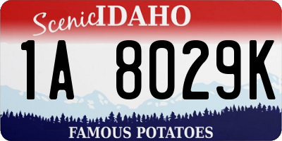 ID license plate 1A8029K