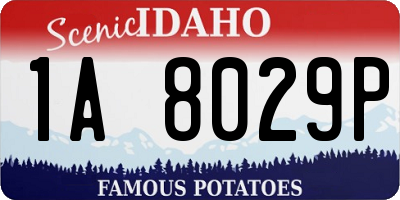ID license plate 1A8029P