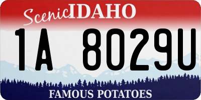 ID license plate 1A8029U