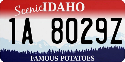 ID license plate 1A8029Z