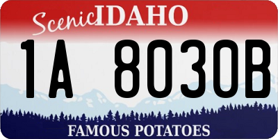 ID license plate 1A8030B