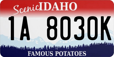 ID license plate 1A8030K