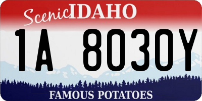 ID license plate 1A8030Y