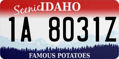 ID license plate 1A8031Z