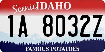 ID license plate 1A8032Z