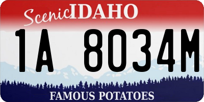 ID license plate 1A8034M