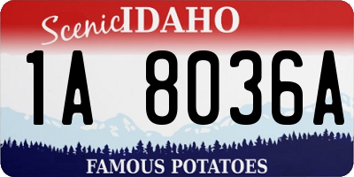ID license plate 1A8036A