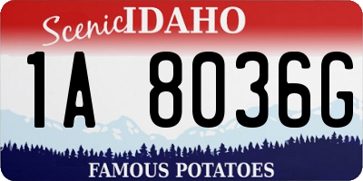 ID license plate 1A8036G
