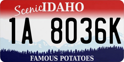 ID license plate 1A8036K