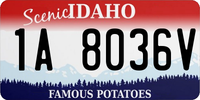 ID license plate 1A8036V