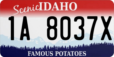 ID license plate 1A8037X