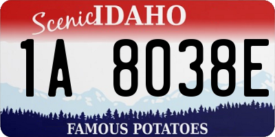 ID license plate 1A8038E