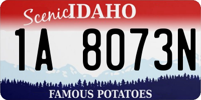 ID license plate 1A8073N