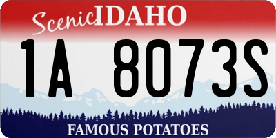 ID license plate 1A8073S