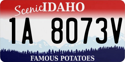 ID license plate 1A8073V