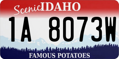 ID license plate 1A8073W