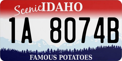 ID license plate 1A8074B