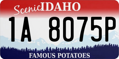 ID license plate 1A8075P