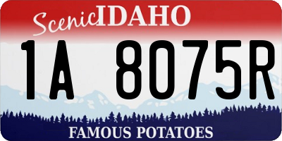 ID license plate 1A8075R