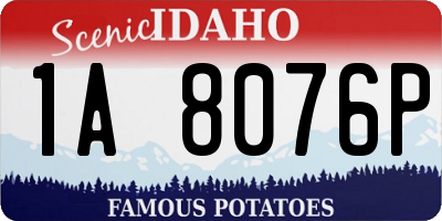 ID license plate 1A8076P
