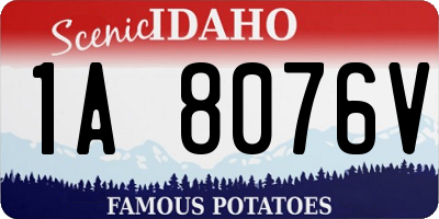 ID license plate 1A8076V