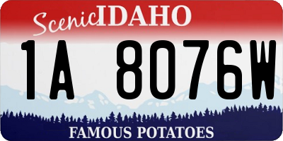 ID license plate 1A8076W