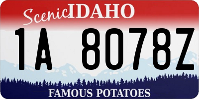 ID license plate 1A8078Z