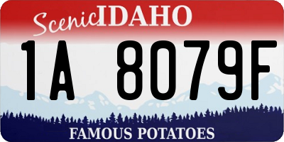 ID license plate 1A8079F