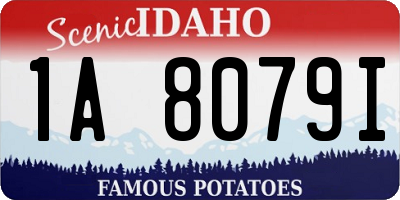 ID license plate 1A8079I