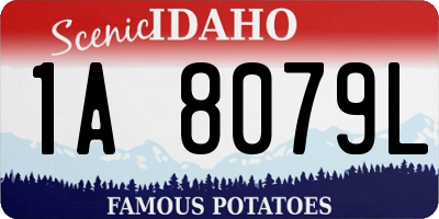 ID license plate 1A8079L