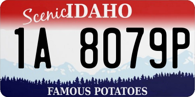 ID license plate 1A8079P