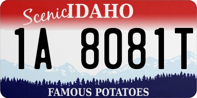 ID license plate 1A8081T
