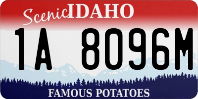 ID license plate 1A8096M