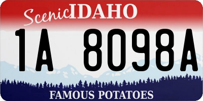 ID license plate 1A8098A