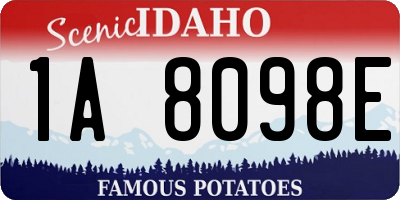 ID license plate 1A8098E