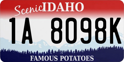 ID license plate 1A8098K