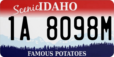 ID license plate 1A8098M