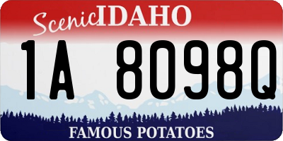 ID license plate 1A8098Q