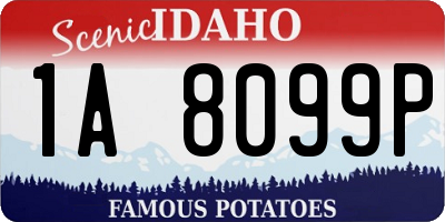 ID license plate 1A8099P