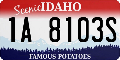 ID license plate 1A8103S