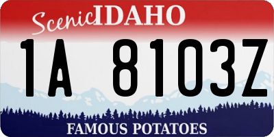 ID license plate 1A8103Z