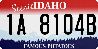 ID license plate 1A8104B